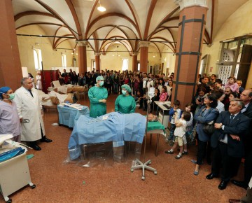 Bologna Medicina